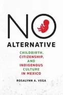 no alternative childbirth citizenship and indigenous culture in mexico