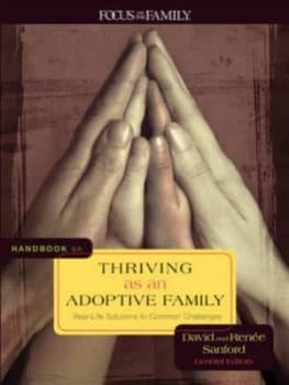 Handbook on Thriving As an Adoptive Family by David Sanford and Rene Sanford Paperback