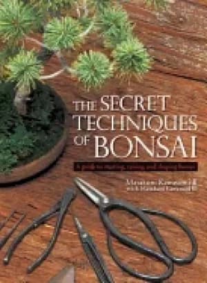secret techniques of bonsai a guide to starting raising and shaping bonsai