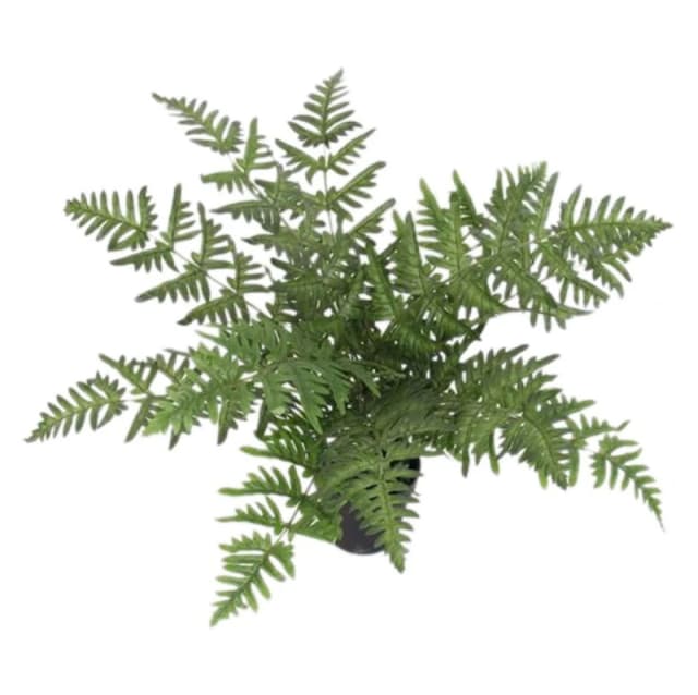 Leaf 50Cm Luxury Artificial Evergreen Fern Plant, Green 7145-V4