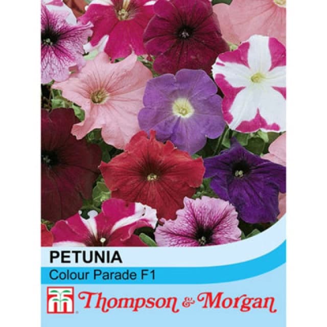 Thompson & Morgan Petunia Colour Parade Mixed F1 Hybrid 1 Seed Packet (100 Seeds)