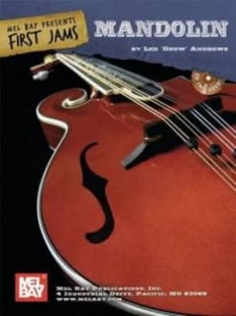 Mandolin by Lee Drew Andrew Paperback