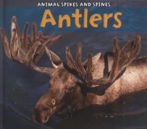 Antlers by Rebecca Rissman Hardback