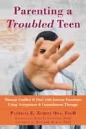 parenting a troubled teen manage conflict and deal with intense emotions us