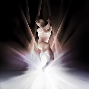 The Smashing Pumpkins - Cyr Vinyl