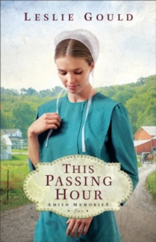 This Passing Hour. Paperback. By Leslie Gould Books