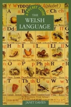 The Welsh Language by Janet Davies Book