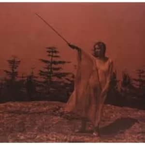 Unknown Mortal Orchestra - II Vinyl