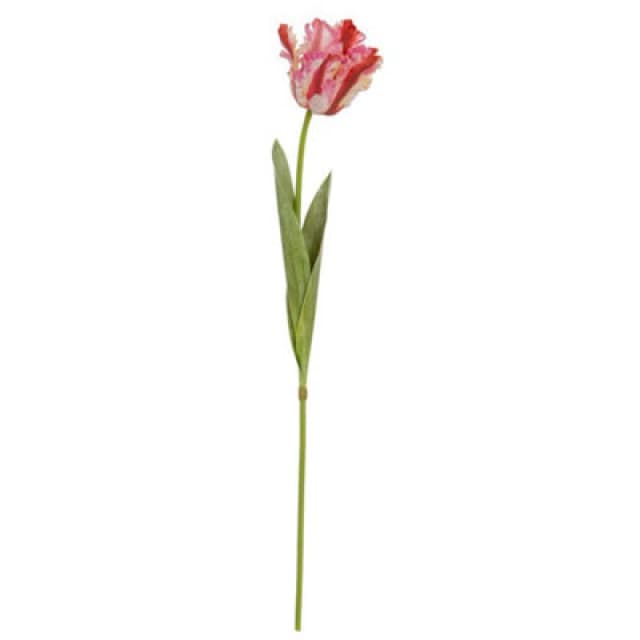 Hill Interiors Multi Pink Parrot Tulip Artificial Flower - Plastic - H69cm - Green