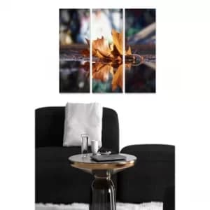 MDF3891911 Multicolor Decorative MDF Painting (3 Pieces)