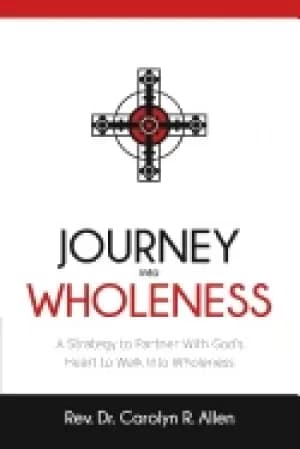 journey into wholeness a strategy to partner with gods heart to walk into w