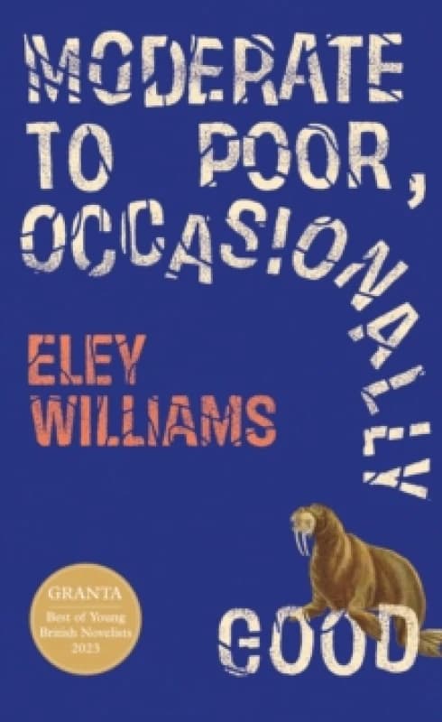 Moderate to Poor, Occasionally Good. Hardback. By Eley Williams Books