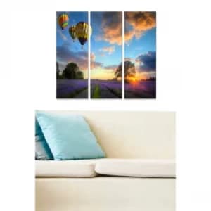 MDF71296 Multicolor Decorative MDF Painting (3 Pieces)