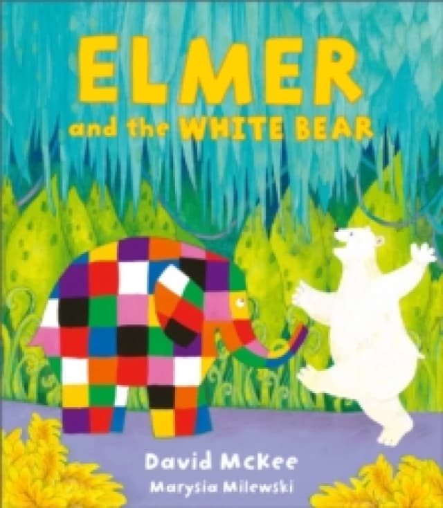 Elmer and the White Bear Hardback