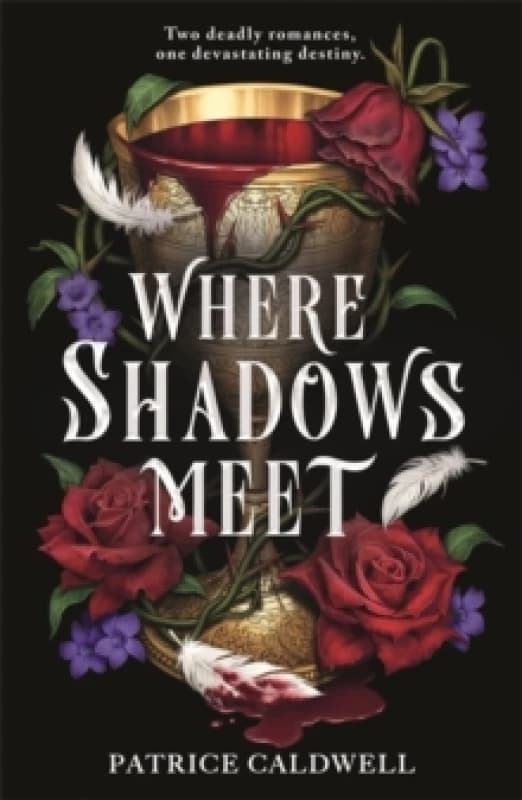 Where Shadows Meet : The instant Sunday Times bestselling sapphic vampire romantasy Paperback / softback