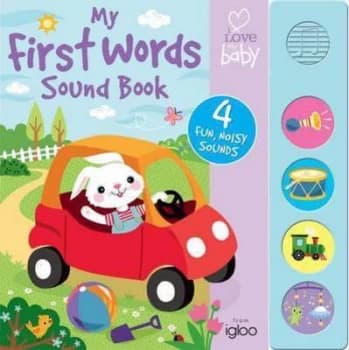 First Words by Noisy Sounds That Little Bunny Hears. Join Little Bunny on His Busy Day and Learn Over 40 Words Alon Hardback