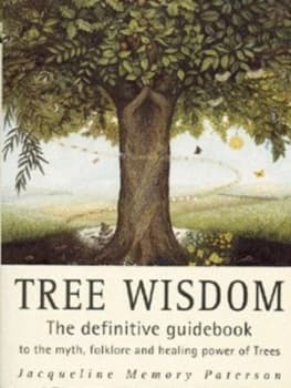 Tree Wisdom by Jacqueline Memory Paterson Paperback