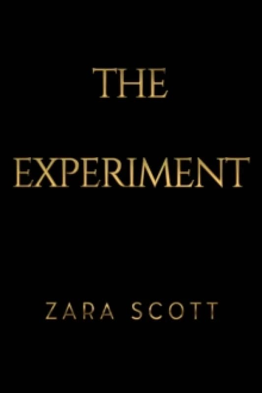 The Experiment Paperback / softback