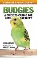 budgies a guide to caring for your parakeet how to breed select care for fe