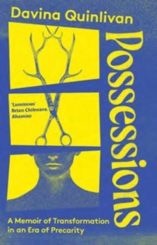 Possessions. Paperback. By Davina Quinlivan Books