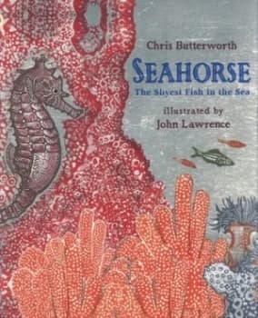 Seahorse by Christine Butterworth Paperback