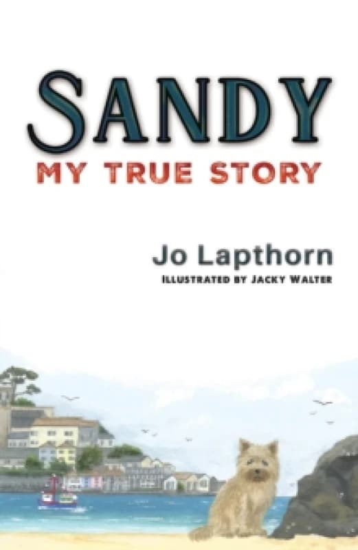 Sandy : My True Story Paperback / softback