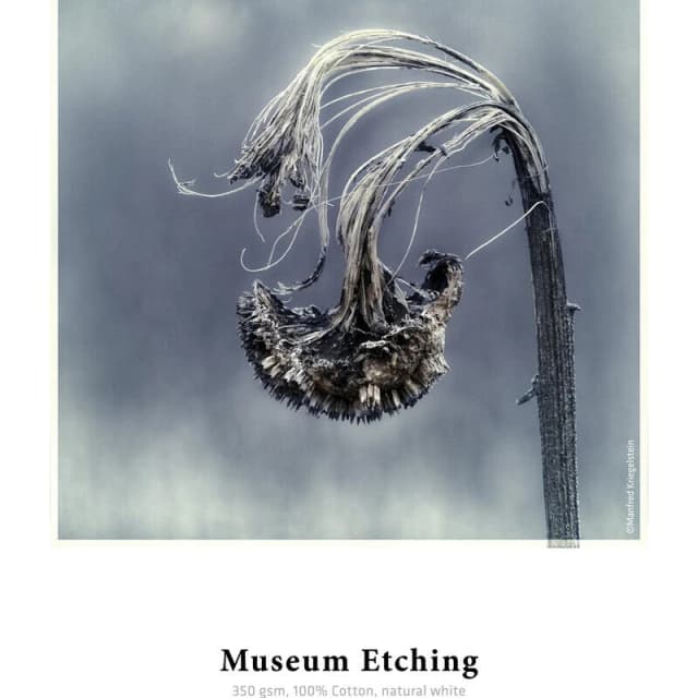 Back to the Office Hahnemuhle Museum Etching Art paper 25 sheets 10641649