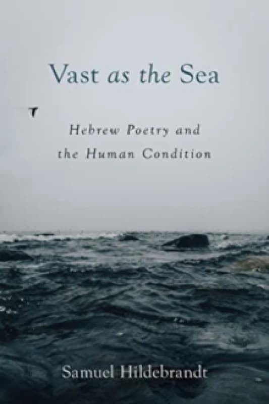 Vast as the Sea : Hebrew Poetry and the Human Condition Paperback / softback