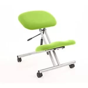 Dynamic Basic Tilt Task Operator Chair Without Arms Kneeler Myrrh Green Back, Silver Frame Without Headrest Medium Back
