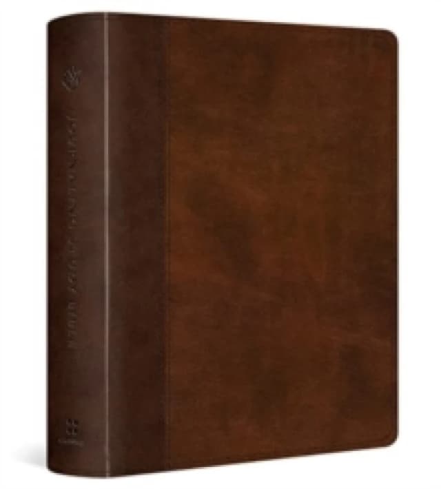 ESV Journaling Study Bible Leather / fine binding