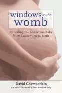 windows to the womb revealing the conscious baby from conception to birth