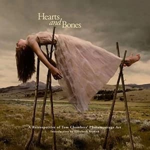 Hearts and Bones A Retrospective of Tom Chambers' Photomontage Art Hardback 2018