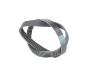 CONTITECH V-ribbed belt 5PK880 Serpentine belt,Auxiliary belt OPEL,RENAULT,PEUGEOT,ZAFIRA B (A05),Zafira A (T98),Vectra C Caravan (Z02)