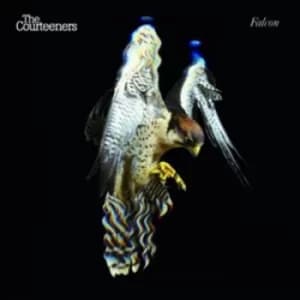 Falcon by The Courteeners CD Album