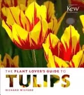 plant lovers guide to tulips