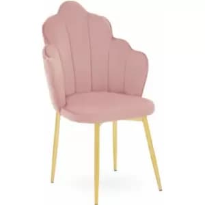 Tian Pink Velvet Dining Chair - Premier Housewares