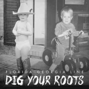 Dig Your Roots by Florida Georgia Line CD Album