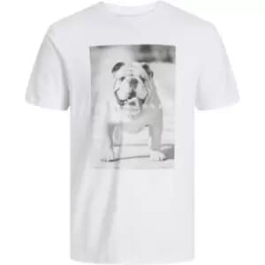 Jack and Jones Bulldog T Shirt Mens - White