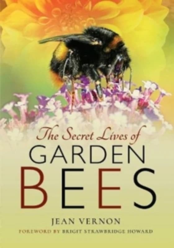 The Secret Lives of Garden Bees Paperback / softback
