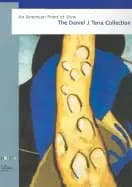 american point of view the daniel j terra collection