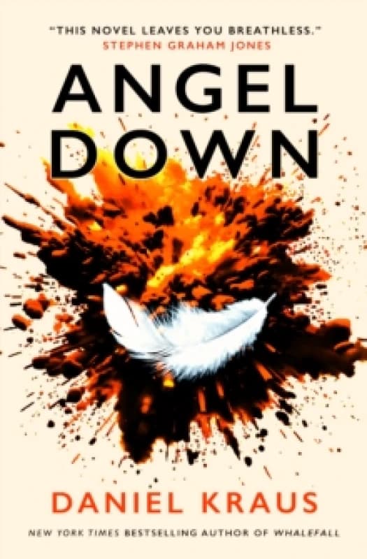 Angel Down Paperback / softback