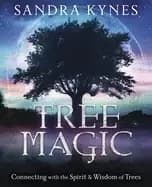 tree magic connecting with the spirit and wisdom of trees