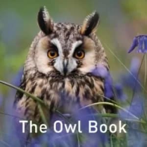 The Owl Book by Jane Russ