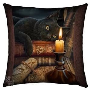 The Witching Hour Cushion