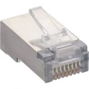 Lumberg P 129 S Modular Plug 8p8c RJ45 Plug straight Transparent