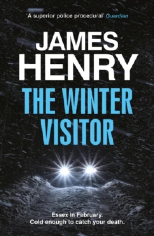 The Winter Visitor : the explosive new thriller set in the badlands of Essex Paperback / softback