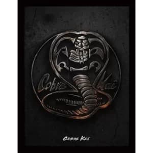 Cobra Kai Framed Picture 16 x 12