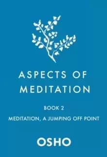 Aspects of Meditation Book 2 : Meditation, a Jumping Off Point