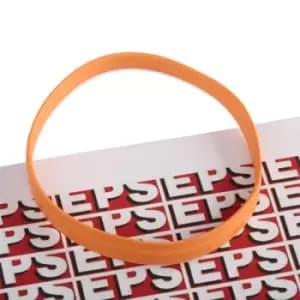 EPS Gaskets BMW 1.890.631 11531437149,11531739754 Gasket, thermostat