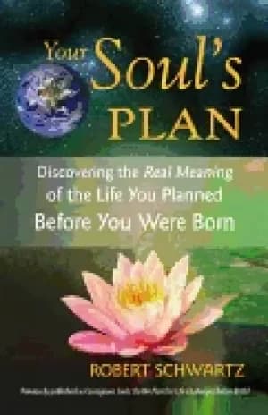 your souls plan discovering the real meaning of the life you planned before
